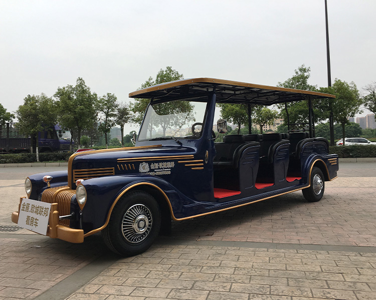 電動老爺車-樓盤看房車