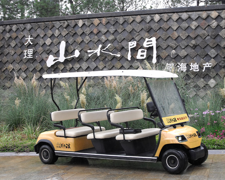 高爾夫球車(chē)-綠欣電動(dòng)車(chē)