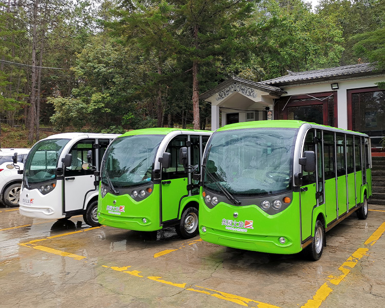 景區(qū)電動(dòng)觀光車(chē)